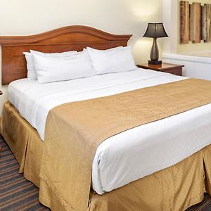 One-Bedroom King Suite